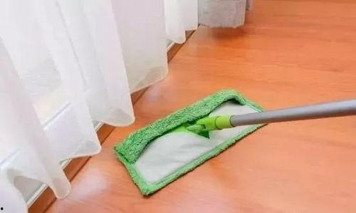 佳佳拖把定制黑料吃瓜,揭秘网红产品背后的真相